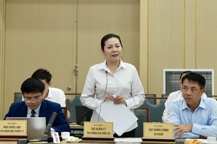 Phó Cục trưởng Cục Quản lý Thi hành án dân sự (Bộ Tư pháp) Trần Thị Phương Hoa thông tin tại buổi họp báo. (Ảnh: TH)