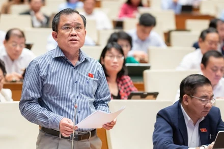 Đại biểu Nguyễn Tâm Hùng (Đoàn Thành phố Hồ Chí Minh) phát biểu tại hội trường. (Ảnh: P.THẮNG)