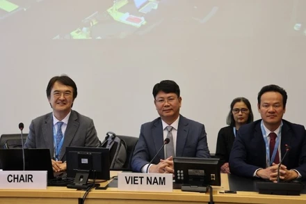 Đoàn công tác liên ngành của Việt Nam do Thứ trưởng Tư pháp Nguyễn Thanh Tịnh làm Trưởng đoàn. (Ảnh: TL).