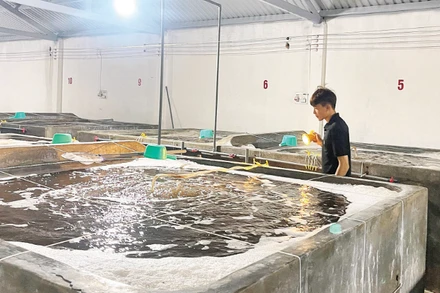 Nếu di dời vị trí mới, các doanh nghiệp sẽ tốn kém rất nhiều kinh phí.