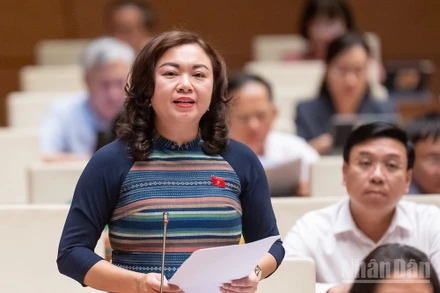 Phó Trưởng Đoàn chuyên trách phụ trách Đoàn đại biểu Quốc hội tỉnh Hòa Bình Đặng Bích Ngọc phát biểu tại hội trường. (Ảnh: DUY LINH)