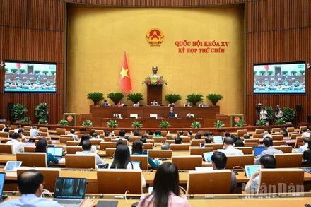 Quốc hội tiến hành chất vấn Bộ trưởng Giáo dục và Đào tạo Nguyễn Kim Sơn về nhóm vấn đề thứ hai thuộc lĩnh vực giáo dục và đào tạo. (Ảnh: DUY LINH)