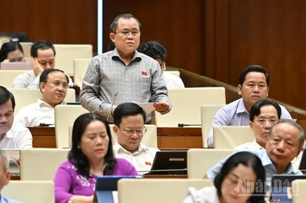 Đại biểu Nguyễn Tâm Hùng (Đoàn Bà Rịa-Vũng Tàu) phát biểu tại phiên thảo luận. (Ảnh: THỦY NGUYÊN)