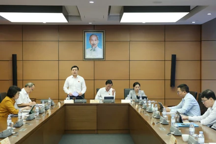 Đại biểu Quốc hội thảo luận tại tổ về việc sắp xếp đơn vị hành chính cấp tỉnh năm 2025. (Ảnh: DUY LINH)