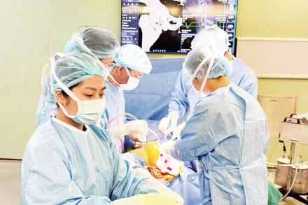 (Ảnh minh họa: THẾ ANH)