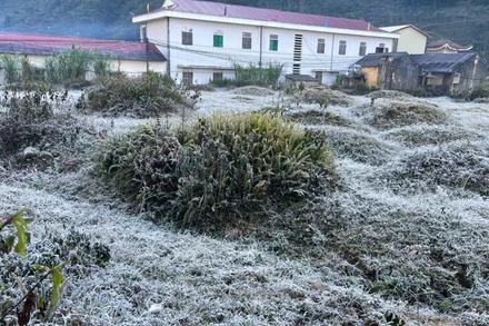 Băng giá xuất hiện tại xã Sà Phìn, tỉnh Tuyên Quang vào sáng 29/11.