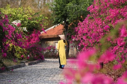 Du lịch bền vững dần trở thành tiêu chí lựa chọn điểm đếm của du khách. (Ảnh: Booking.com)