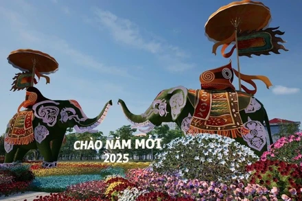 Hình ảnh một lễ hội hoa, cây cảnh tại xã Mê Linh (Hà Nội). 