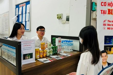 Tư vấn tuyển dụng việc làm tại phiên giao dịch việc làm trực tuyến kết nối 8 tỉnh, thành phố. (Ảnh: MAI HOA)