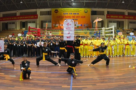 Giải Võ thuật Cúp Tài năng trẻ Việt Nam lần thứ 6 năm 2025 quy tụ 3.000 vận động viên đến từ 80 đoàn võ thuật trên toàn quốc.