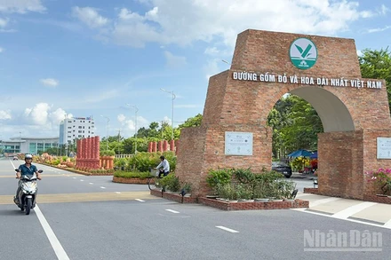 Đường gốm đỏ và hoa dài nhất Việt Nam tại Vĩnh Long. 