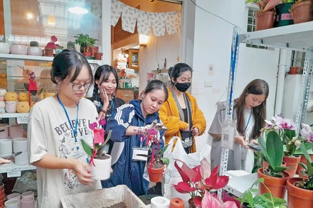 Các bạn trẻ, tình nguyện viên đang chăm chút cho cây, cho hoa để “đổi” lấy rác, phế liệu.