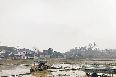 Nông dân xã Đại Đồng sử dụng máy cày để làm vụ lúa đông xuân.