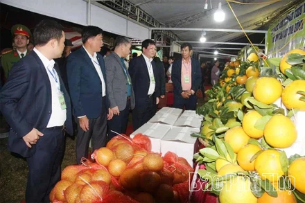 Lãnh đạo các sở, ngành và cấp ủy, chính quyền địa phương thăm quan các gian hàng tại hội chợ.