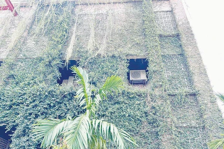 Các công trình trong nhà máy không trát, không sơn, phủ xanh bằng cây để giảm hấp thụ nhiệt.