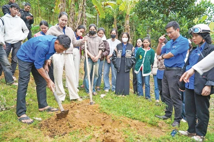 Thanh niên đồng hành cùng thanh niên tạo nên nhiều mô hình hiệu quả và thực chất.