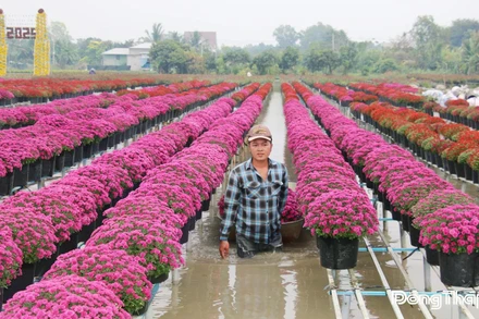 Mỗi dịp lễ, tết, Làng hoa Sa Đéc là điểm đến thu hút đông đảo du khách gần xa.