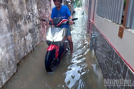 Nước ngập len lỏi vào tận các ngõ hẻm phường Bạc Liêu, tỉnh Cà Mau, gây xáo trộn cuộc sống của người dân.