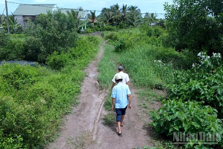 Cà Mau Dù Đã Hoàn Thành Xong Nền Đường Đất 4M Nhưng Người Dân Tuyến Kênh Chà Là (Xã Đất Mới) Chờ Hoài Chưa Thấy Đầu Tư Làm Con Lộ Bê Tông Mới.