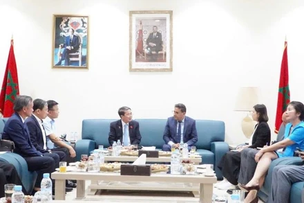Phó Chủ tịch Quốc hội Nguyễn Đức Hải và Phó Thủ tướng Chính phủ Lê Thành Long cùng Đoàn đại biểu đã thăm, làm việc tại thành phố Tangier. (Ảnh: VĂN CHÚC)