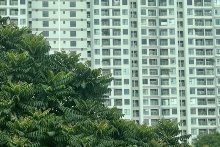 Tái định vị nhà ở như một phần thiết yếu của hạ tầng quốc gia, thúc đẩy phát triển đô thị bền vững và bao trùm. (Ảnh: HNV)