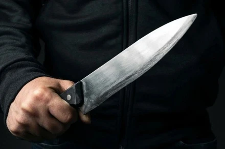 (Ảnh minh họa: DESCAN HERALF/VOV)