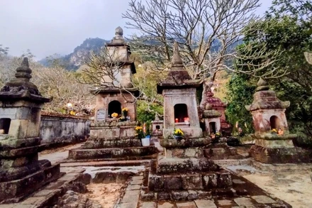 Một góc vườn tháp Huệ Quang. 