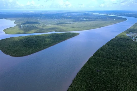 Tham gia thị trường tín chỉ carbon, Cà Mau ước tính có nguồn thu khoảng hơn 3.500 tỷ đồng mỗi năm từ “kho báu xanh”.