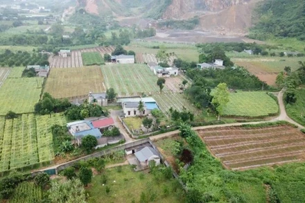 Bộ Nông nghiệp và Môi trường yêu cầu hoàn thành việc đồng bộ cơ sở dữ liệu đất đai với Trung tâm dữ liệu quốc gia trong tháng 8/2025. (Ảnh: HNV)