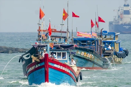 Cần nhiều biện pháp để phát triển nghề cá theo hướng chuyên nghiệp, giảm cường lực khai thác, tăng cường nuôi biển. (Ảnh LÊ VĂN CHƯƠNG)