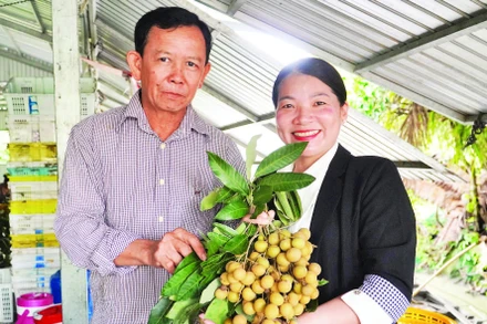 Thanh nhãn được xem là sản phẩm xuất khẩu thế mạnh của Vina T&T Group trong nhiều năm qua.