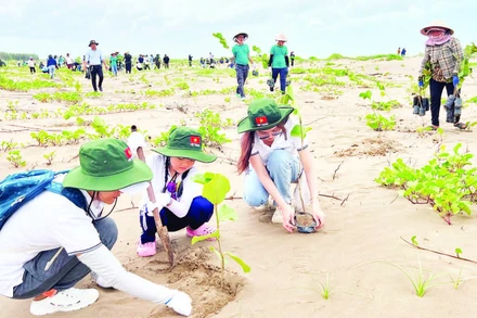 Khách du lịch trồng cây tại khu vực ven biển xã Thạnh Phong (huyện Thạnh Phú, tỉnh Bến Tre).