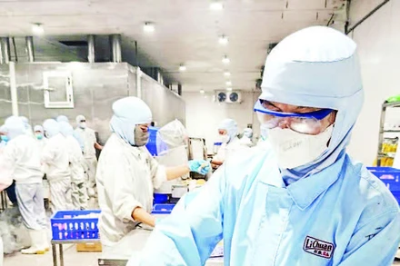 Ông Nguyễn Văn Tèo sau khi bị tai nạn lao động vẫn được công ty bố trí vào làm việc bình thường.