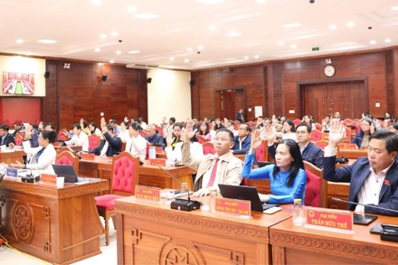 Các đại biểu Hội đồng nhân dân tỉnh Đắk Lắk biểu quyết thông qua nghị quyết.
