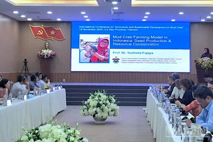 Hội thảo quốc tế “Đổi mới sáng tạo và phát triển bền vững ngành cua biển” tại Cà Mau.