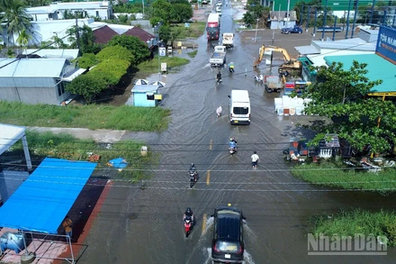 Tuyến Quốc lộ 1A, đoạn gần cầu Lương Thế Trân, tỉnh Cà Mau bị ngập sâu vào đợt mưa lớn kết hợp triều cường vào cuối tháng 10/2025.