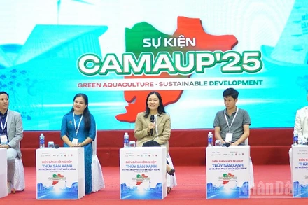 Các chuyên gia đóng góp ý kiến tại Diễn đàn khởi nghiệp ở Cà Mau.