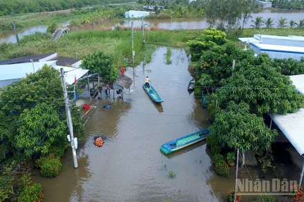 Một góc con đường gần 2km tại Kênh Tư ngập sâu, người dân phải dùng xuồng di chuyển trên mặt đường. 