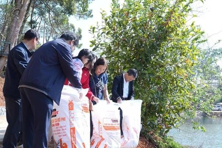 Trung tâm Cung ứng dịch vụ công xã Măng Đen đã thả 5.000 cá koi, cá lăng giống xuống hồ Đăk Ke.