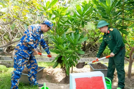 Thượng tá Nguyễn Duy Bá - Chủ nhiệm Chính trị Lữ đoàn 146 (bên trái) trồng cây lưu niệm trên đảo Song Tử Tây trong chuyến công tác đầu tháng 1/2026.