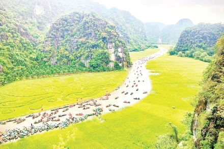 Rực rỡ Lễ hội Sắc vàng Tam Cốc 2025.