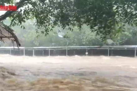 [Video] Các hồ thủy điện, thủy lợi ở Huế tiếp tục thực hiện lệnh điều tiết nước để đón mưa lớn 