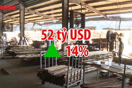 [Video] Xuất khẩu nông lâm thủy sản vượt 52 tỷ USD sau 9 tháng