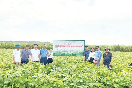 Nguyên tắc quan trọng nhất là phải tìm được đầu ra và ký kết bao tiêu sản phẩm trước khi tổ chức sản xuất. 