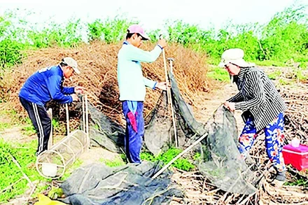 Mô hình du lịch trải nghiệm, kiểm soát chuột bằng chất chà chuột.