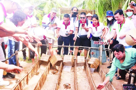 Du khách thích thú với trò chơi đua cua có thưởng tại điểm du lịch cộng đồng ấp Cồn Chim, xã Hòa Minh.
