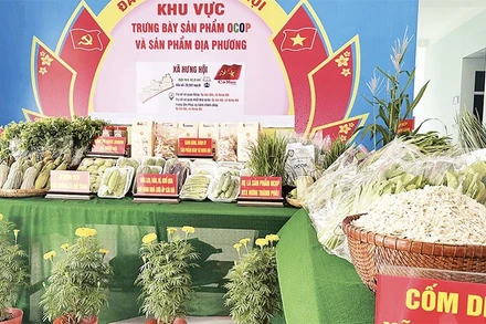 Các sản phẩm đạt chuẩn OCOP của xã Hưng Hội.