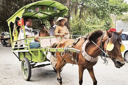 Du khách trải nghiệm trên xe ngựa ở cù lao Thới Sơn.