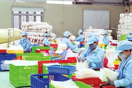 Các cơ sở sản xuất bánh tráng ở Tây Ninh hối hả sản xuất để cung ứng thị trường Tết.