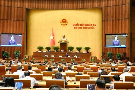 Quang cảnh phiên thảo luận ở hội trường ngày 14/11. (Ảnh: DUY LINH)